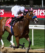Dubai World Cup Horse Racing
