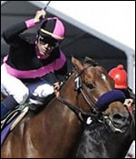 Dubai World Cup Tips