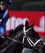 Dubai Horse Racing Invasor